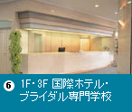  6F国際ﾎﾃﾙ・ﾌﾞﾗｲﾀﾞﾙ専門学校
