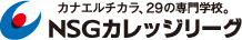 カナエルチカラ29の専門学校 NSGカレッジリーグ